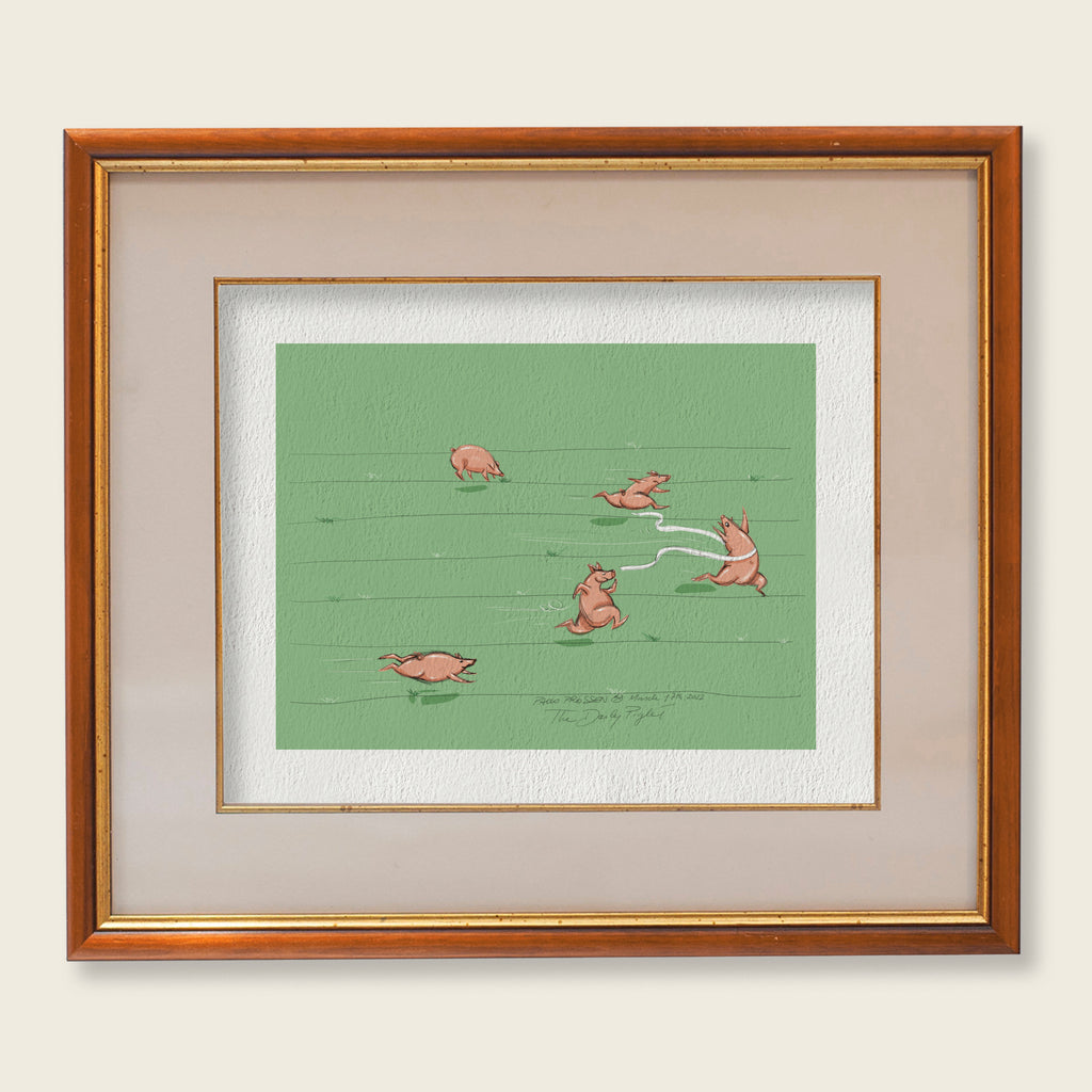 The Daily Piglet - Olympigs