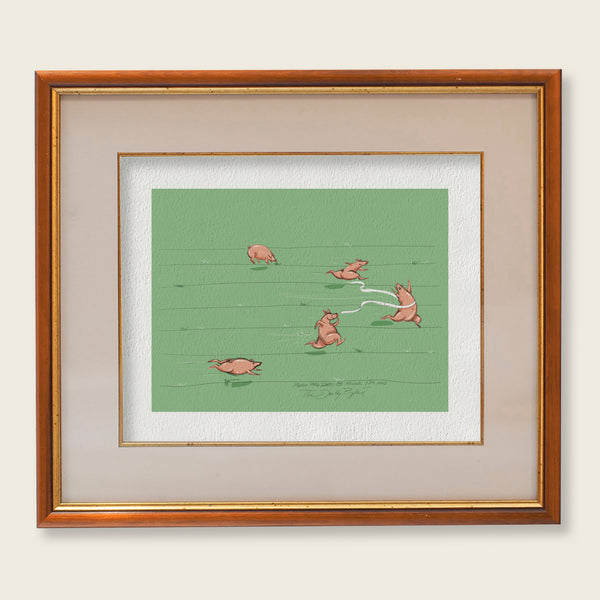 The Daily Piglet - Olympigs