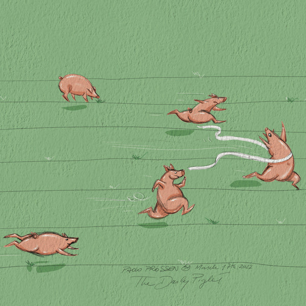 The Daily Piglet - Olympigs