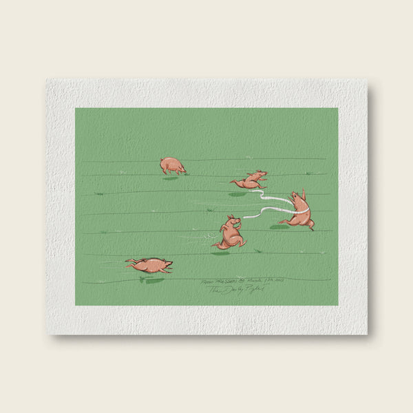 The Daily Piglet - Olympigs