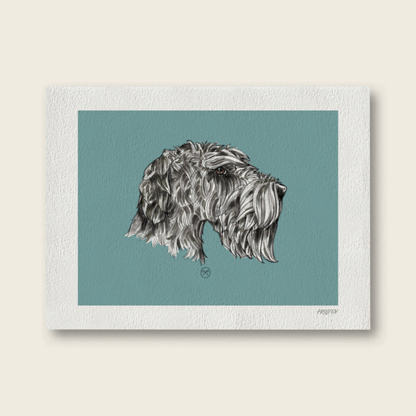 Mina The Silver Schnauzer, Art Print