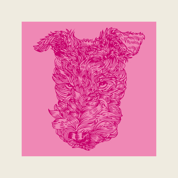 PINK ITO T-SHIRT