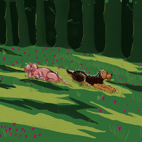The Daily Piglet - Clearing