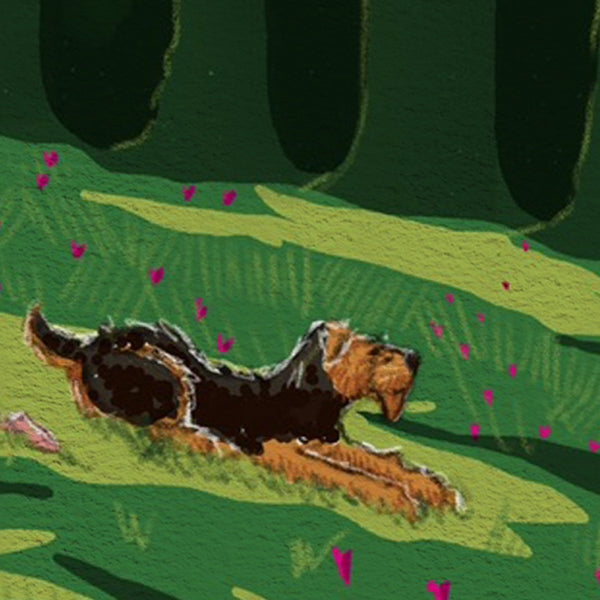 The Daily Piglet - Clearing