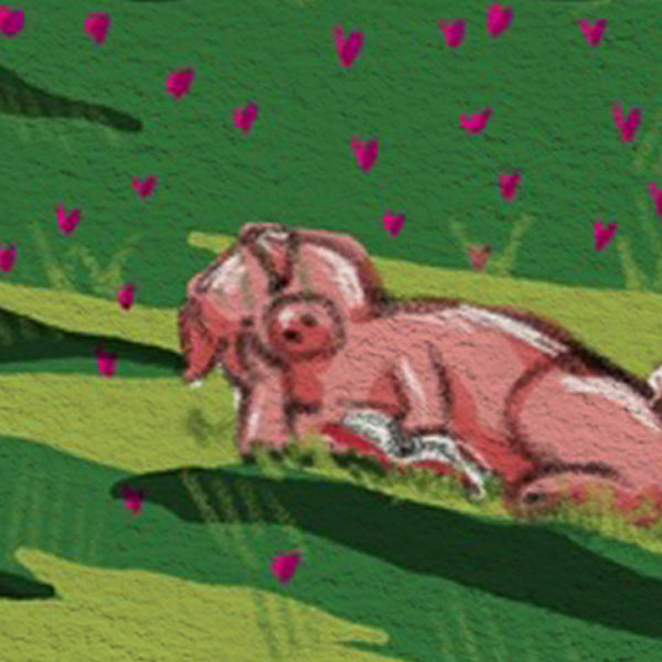 The Daily Piglet - Clearing