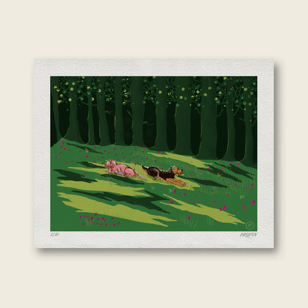 The Daily Piglet - Clearing
