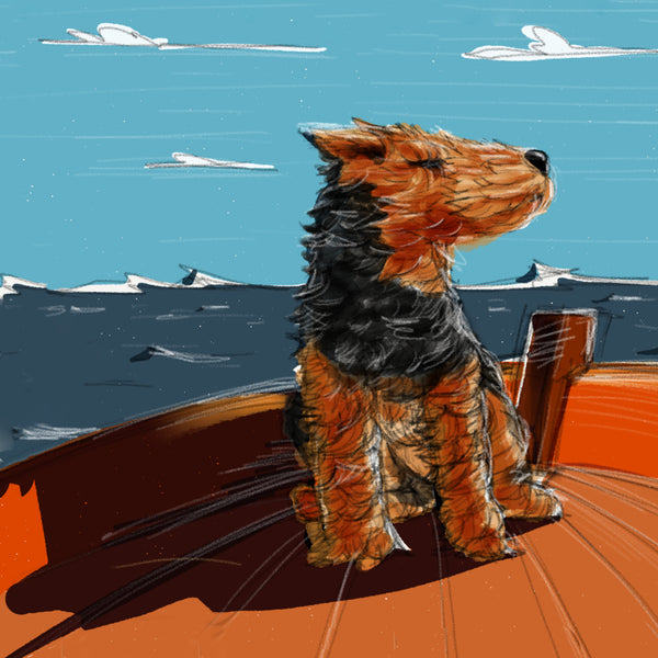 A WELSH IN THE WIND