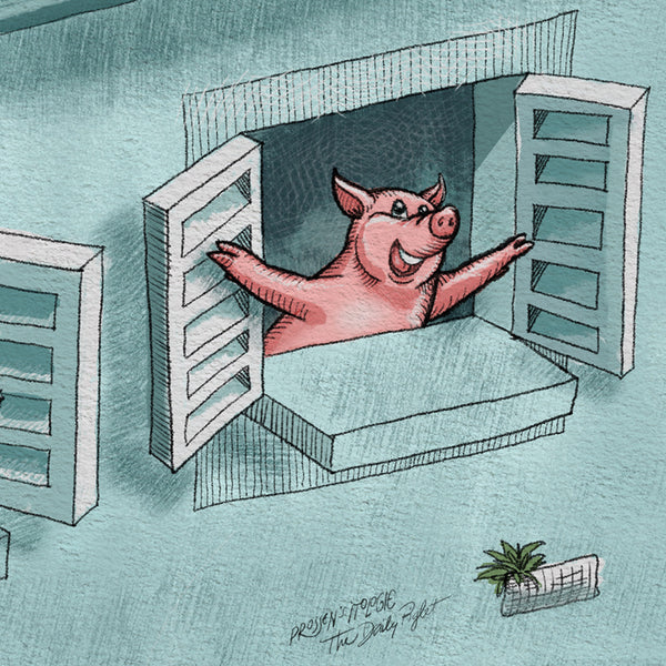 The Daily Piglet - Morning at the Window